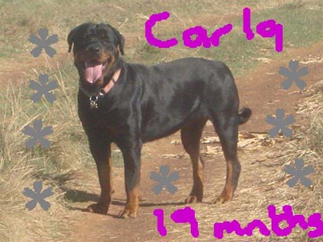carla 052-350