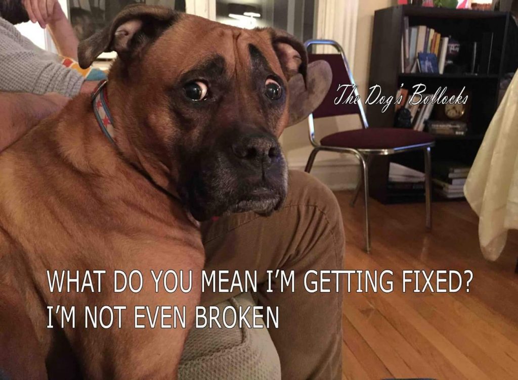 FB_IMG_1441184804937